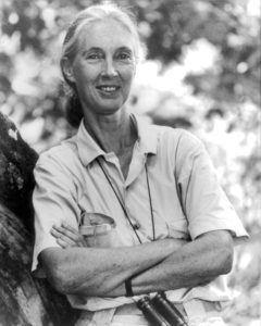 Jane Goodall, 1997
